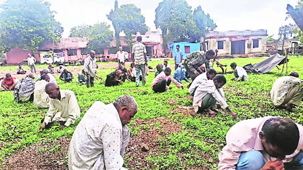 nandadeep foundation information nandadeep foundation information