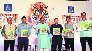 tiger conservation programme