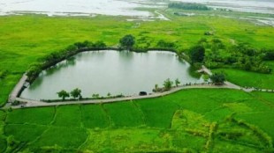 vasai village green area