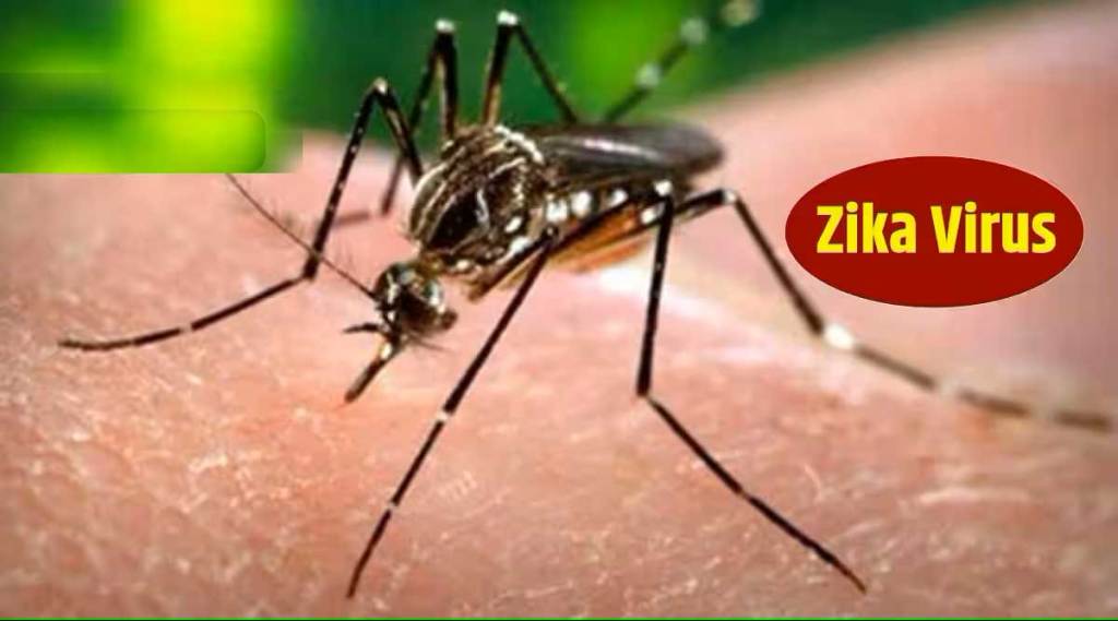 mumbai reports second zika case mumbai reports second zika case