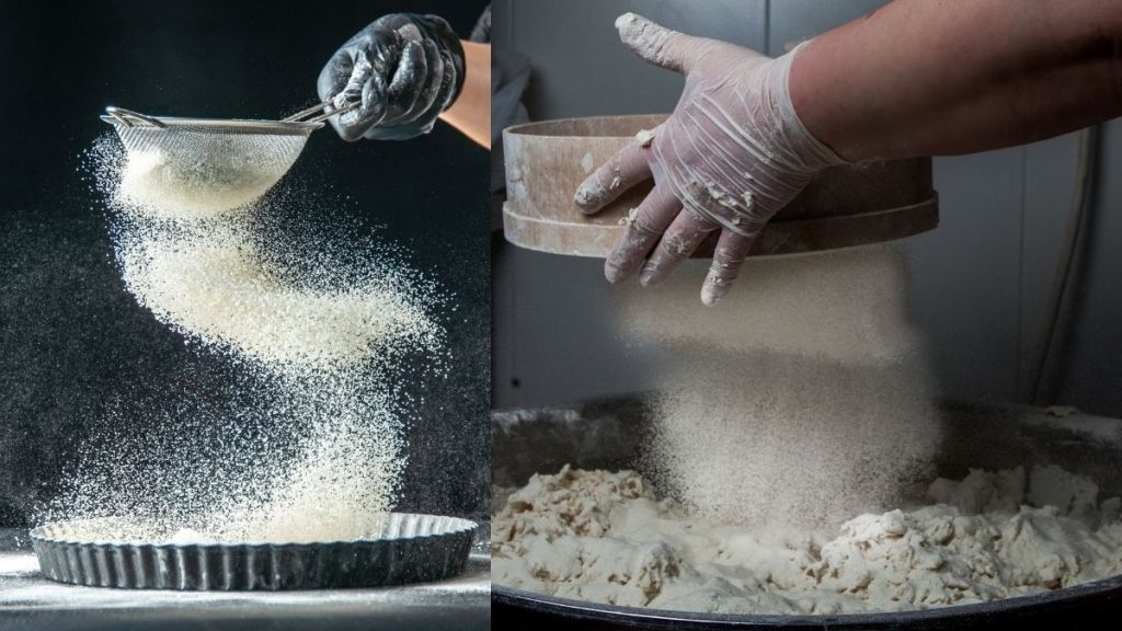 Bugs in wheat flour Bugs in wheat flour