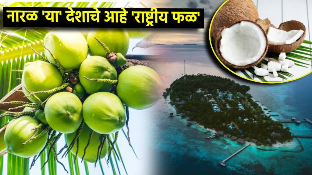 Interesting Facts of Coconut in Indian Culture & Cuisine bus coconut is not the national fruit of india but maldives