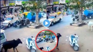 Rajasthan Road Accident Video Viral