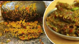 Lasanachya Patichi Chutnei Garlic Chutney