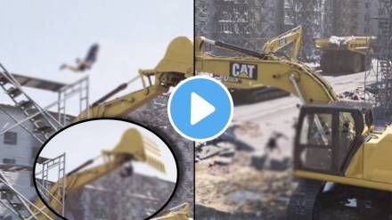 man jumped without support very dangerous sight was seen video goes viral