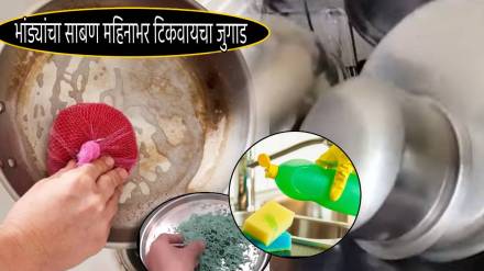 Kitchen Jugaad Tips To Make Dishwashing Soap Liquid at Home Last Longer Use 20 Rupees Soap For a Month With Smart tips