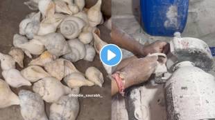 See how beautiful bangles are made from conch