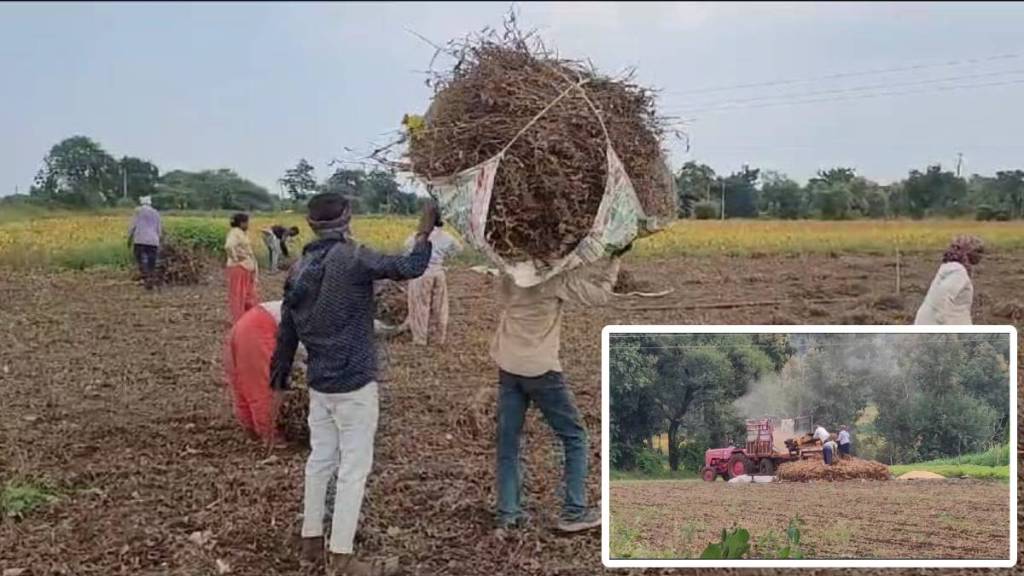 Soybean farmers in Buldhana Soybean farmers in Buldhana