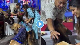 In kolkatta the owners took their pet dogs to the Durga Puja Mandal