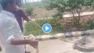 The farmer took the live crocodile to the electricity department office