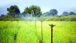 Irrigation Board Office Shegaon