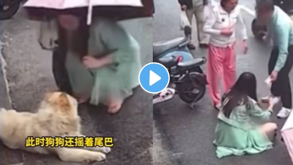 Dog attacked on face of a woman shocking video goes viral