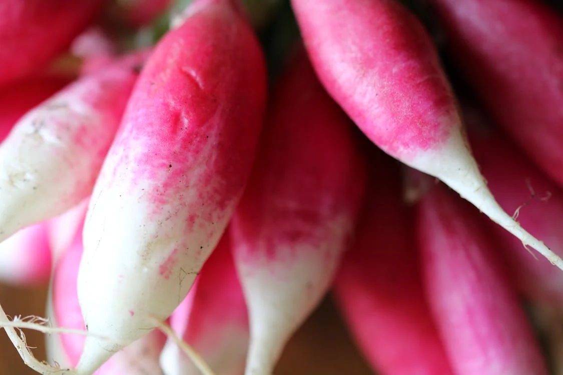 Radish Health Benefits And Disadvantages