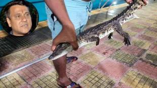 Sandeep Deshpande on bmc