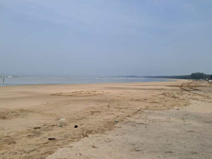 Cleanliness campaign shore of Shirgaon