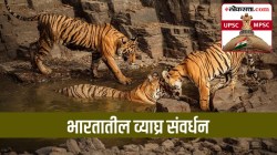 UPSC-MPSC : भारतात ‘प्रोजेक्ट टायगर’ उपक्रम कधी सुरू करण्यात आला? त्याचा नेमका उद्देश काय होता?