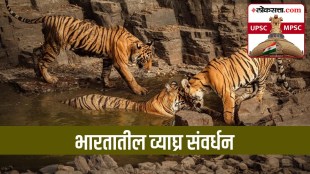 Project Tiger