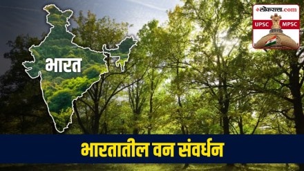 Forest In India