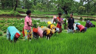 Raigad e crop inspection