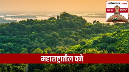 forest in maharashtra