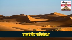 UPSC-MPSC : वाळवंटीय परिसंस्था म्हणजे काय? त्याचे मुख्य प्रकार कोणते?