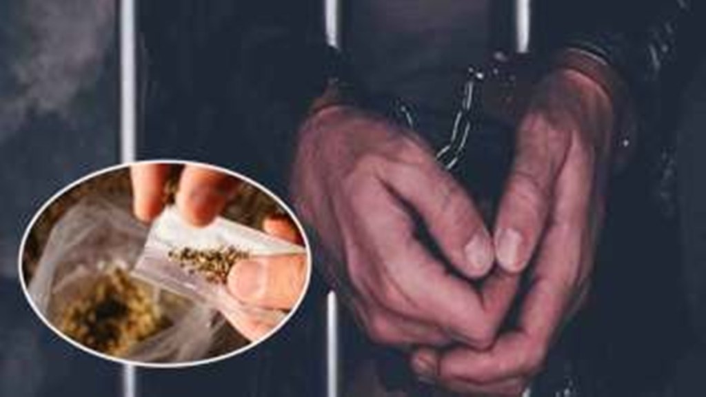 marijuana, mumbai police, four arrested with marijuana, mumbai police crime branch
