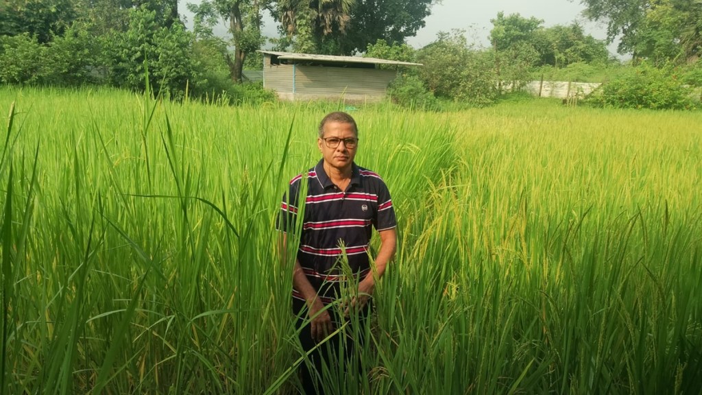 raigad district, crop experiments, 2 thousand 240 hectares, agricultural land raigad district, crop experiments, 2 thousand 240 hectares, agricultural land