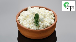 different ways to have curd