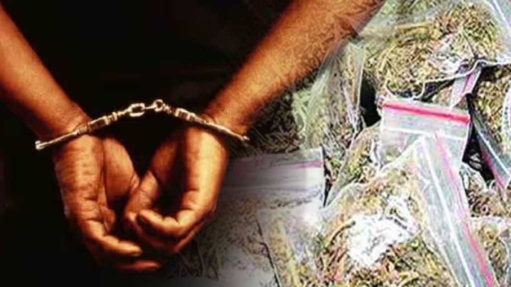 Customs Department arrested two people Mumbai charges ordering ganja through mail US mumbai