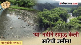 Why these rivers in Mumbai also flow wavy