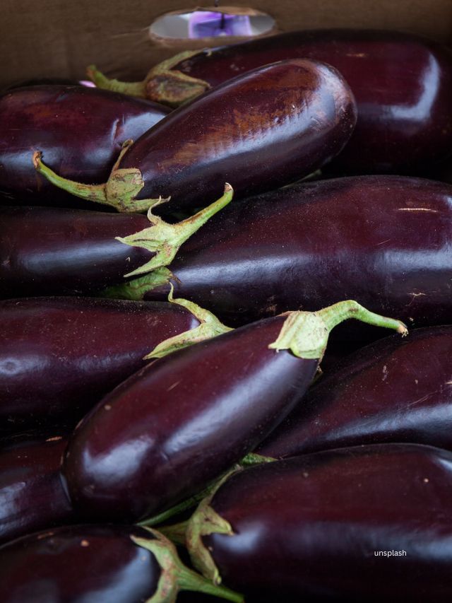 Health Tips : brinjal (unsplash)