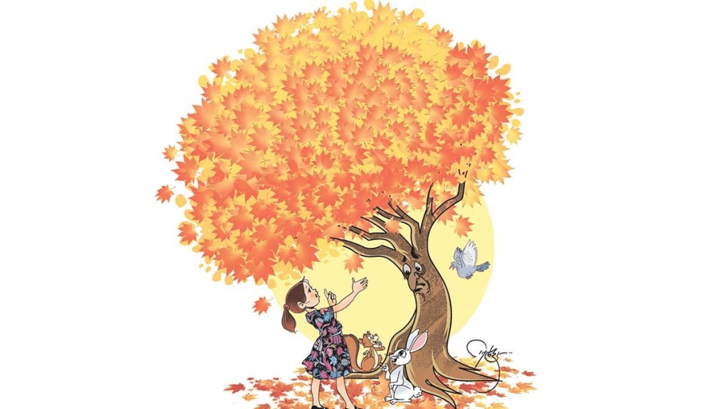 Maple tree, multi purpose use maple Maple tree, multi purpose use maple