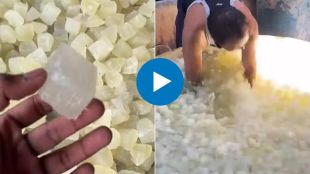 petha making viral video how to make famous agra petha