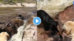 heart touching video goes viral