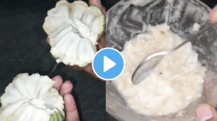 trick to remove seeds from custard apple