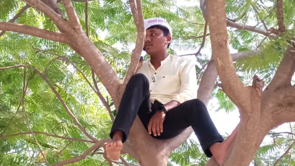 urvesh salunkhe Chopda taluka jalgaon protested climbing a tree completion of the Lower Tapi Padalsare project