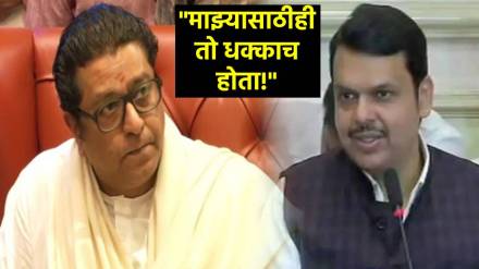 raj thackeray devendra fadnavis