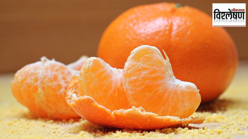 orange prices fall orange prices fall