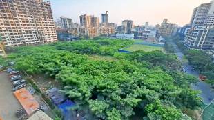 mbmc to build an international standard swimming pool by cutting down 3267 trees