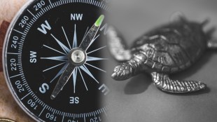 vastu-shastra-metal-turtle