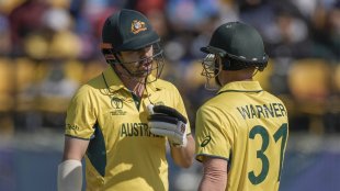 travis head david warner
