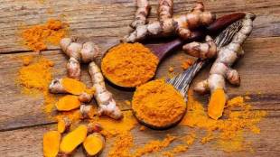 Central government, National Turmeric Board, export, turmeric