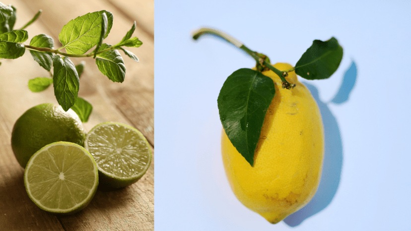 Lemon Leaves Health Benefits