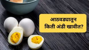 egg Consumption