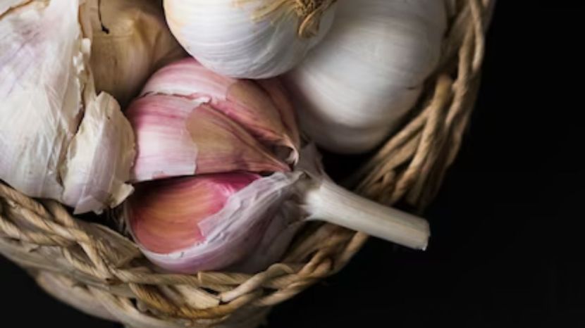Garlic Farming