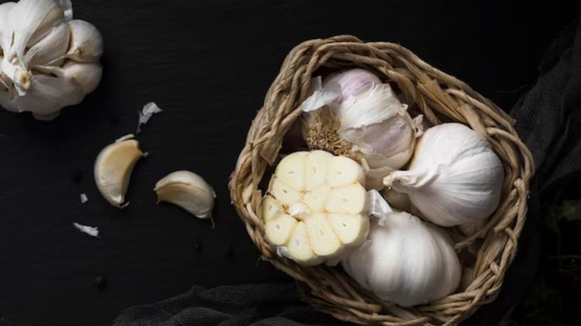 Garlic Farming