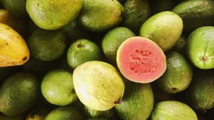 Guava Benefits