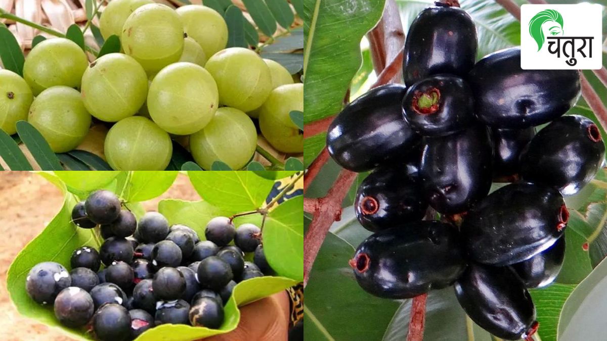 Jambhul Jamun fruit
