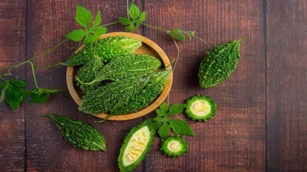 Why is bitter gourd bitter in taste
