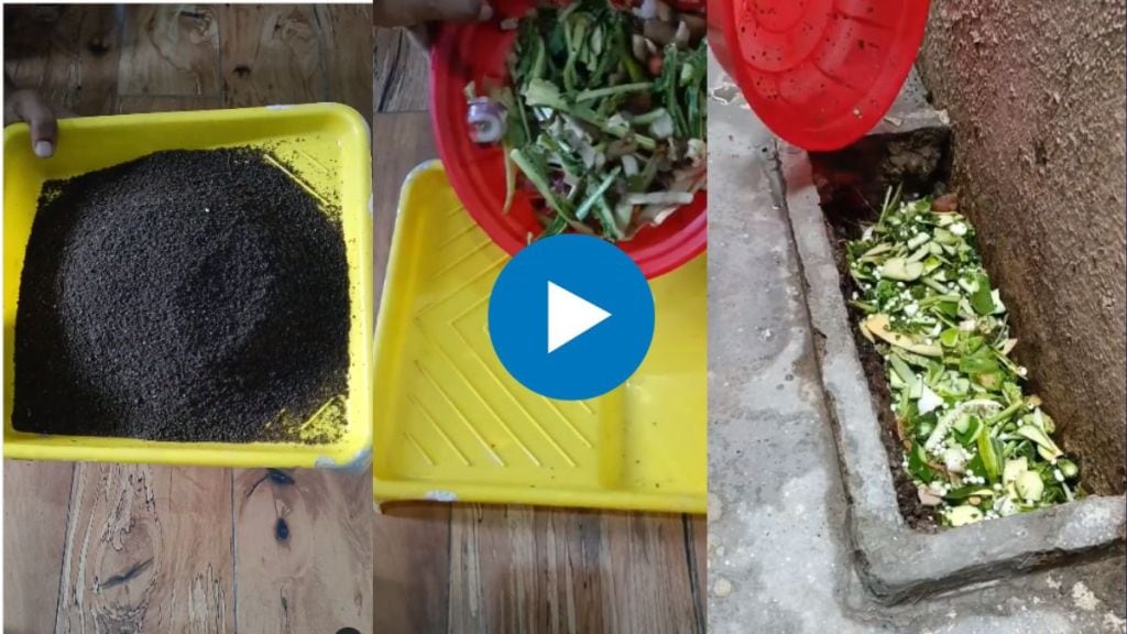 Make compost naturally at home using Fruits vegetable waste Watch the viral video Make compost naturally at home using Fruits vegetable waste Watch the viral video